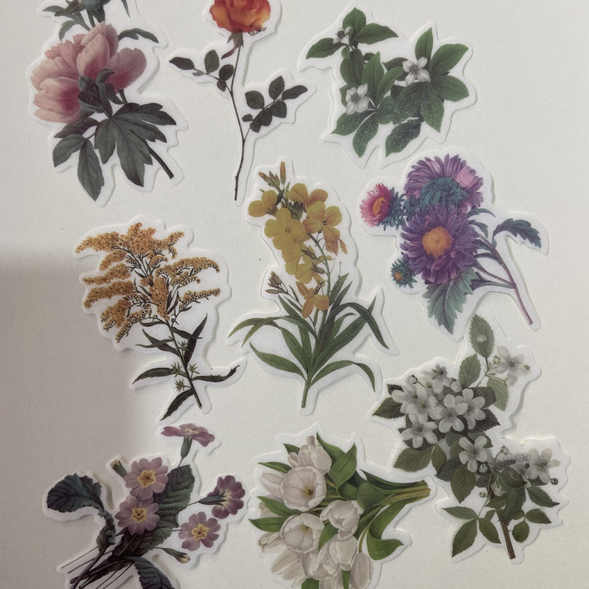 60pc/bag Vintage Flowers Plant - Embellishments For Scrapbooking recensie en prijs