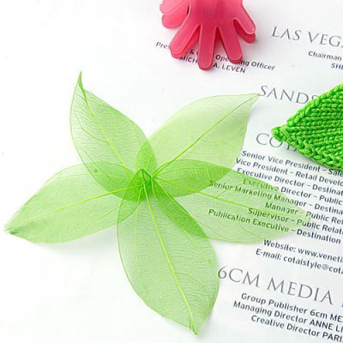Natural Catbrier Skeleton Leav - Craft Embellishment recensie en prijs