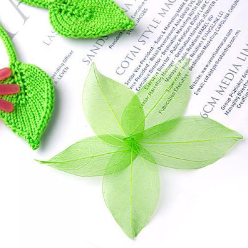 Natural Catbrier Skeleton Leav - Craft Embellishment recensie en prijs