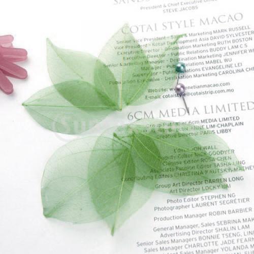 Natural Catbrier Skeleton Leav - Craft Embellishment recensie en prijs