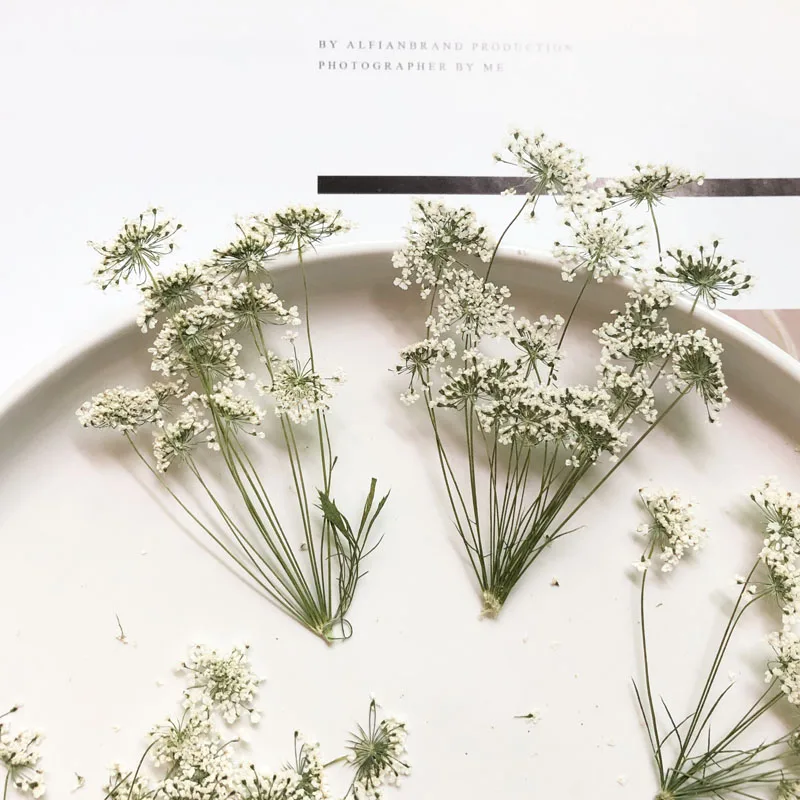 5-7cm/12pcs,Snow Tiny Flowers  - Craft Embellishment recensie en prijs
