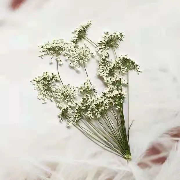 5-7cm/12pcs,Snow Tiny Flowers  - Craft Embellishment recensie en prijs