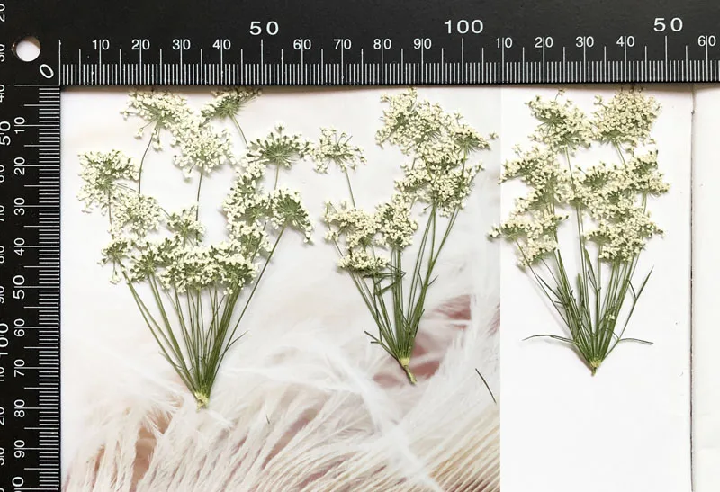5-7cm/12pcs,Snow Tiny Flowers  - Craft Embellishment recensie en prijs