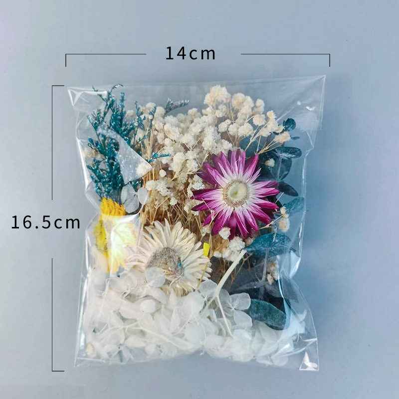 1pack Multifarious Dried Flowe - Craft Embellishment recensie en prijs